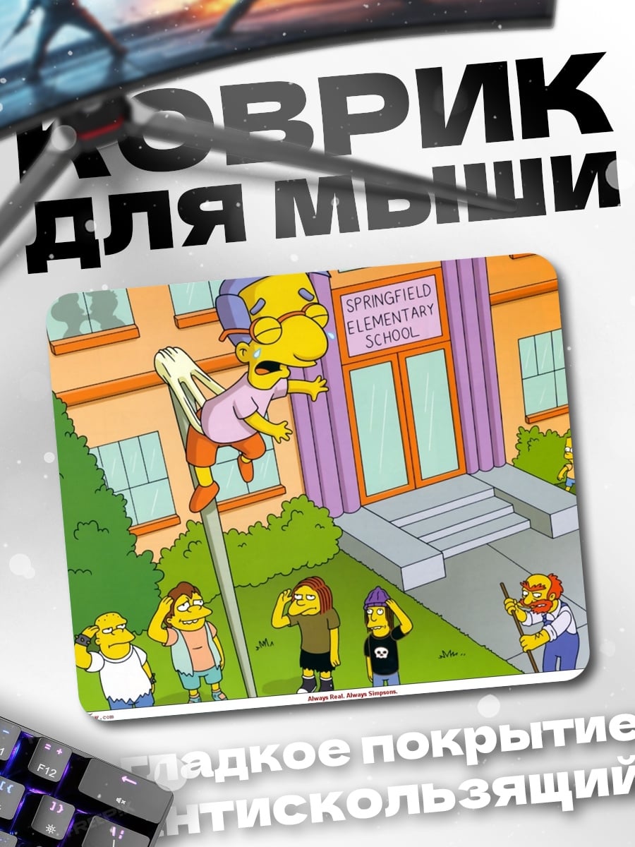 Коврик Скинер в школе