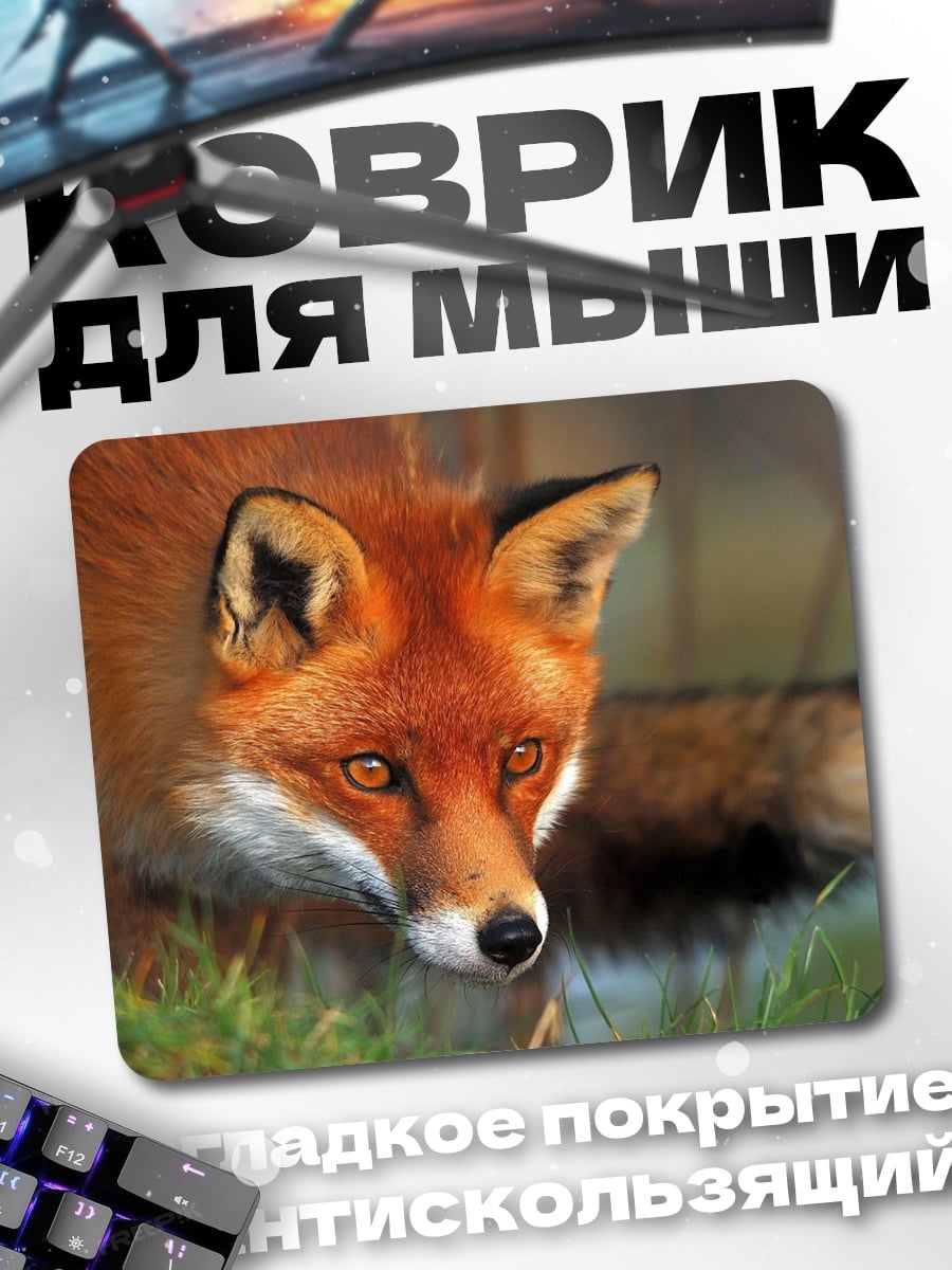 Коврик рыжая лиса