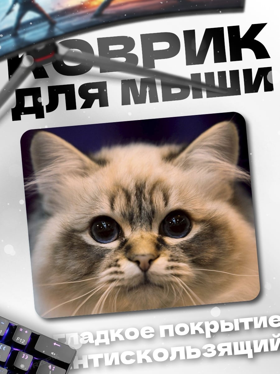 Коврик Пушистый кот