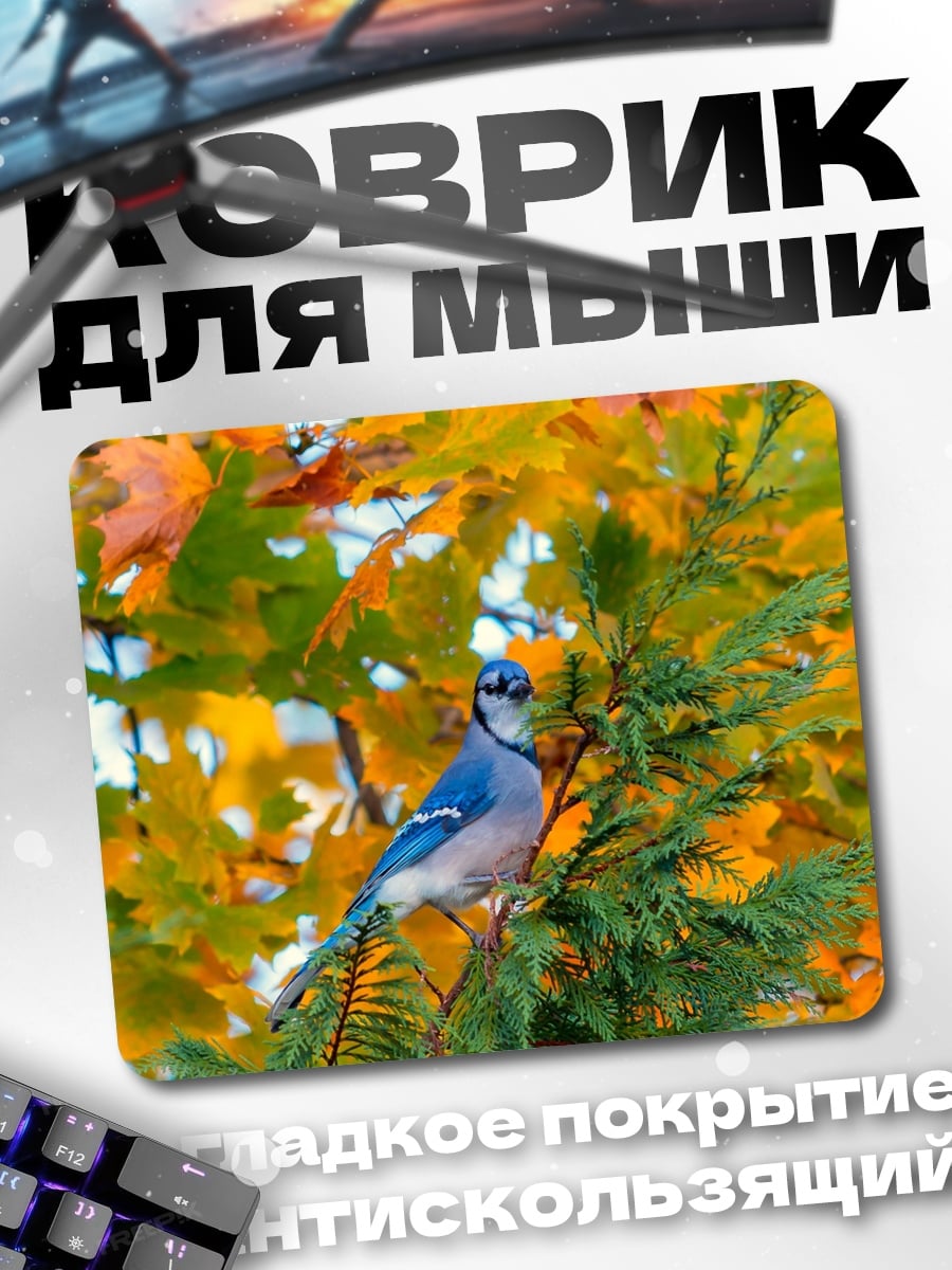 Коврик Сойка осенью