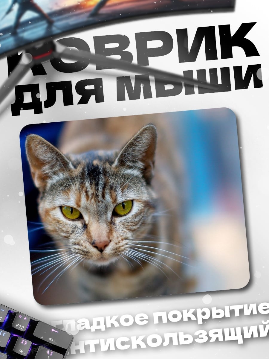 Коврик Дракон и лиса