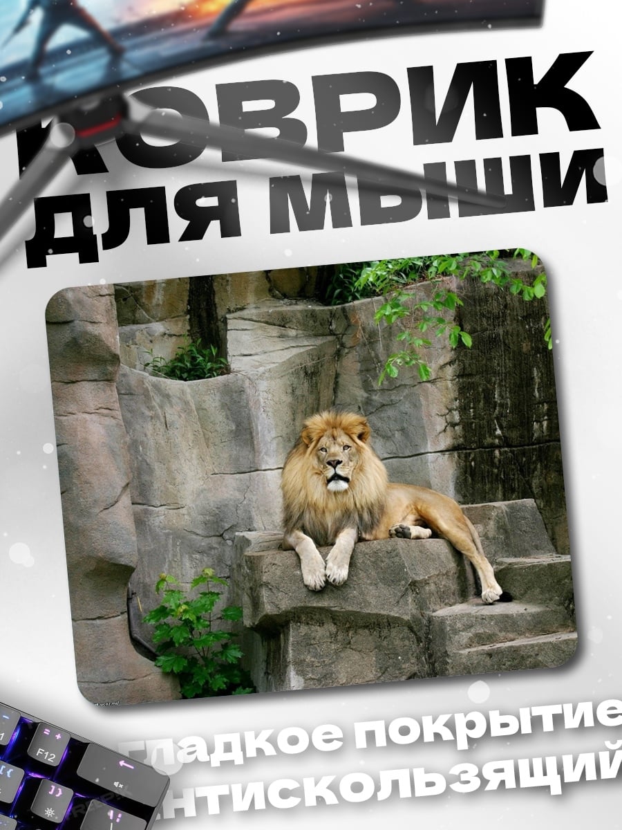 Коврик Лев на камнях