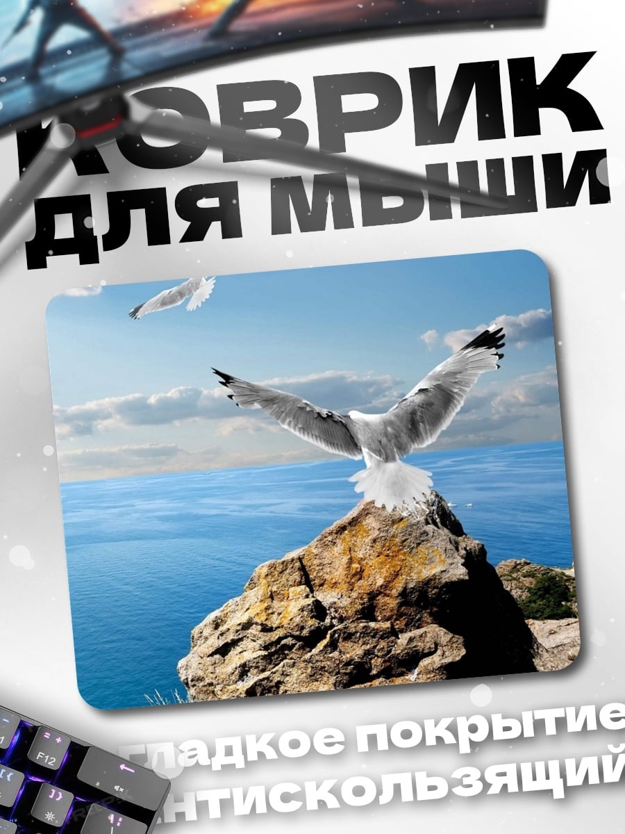 Коврик чайка на скале