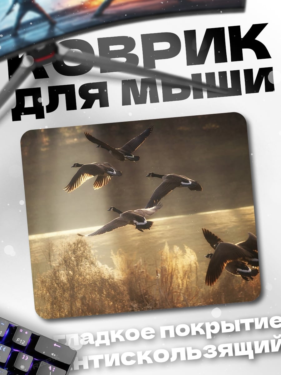 Коврик Стая гусей