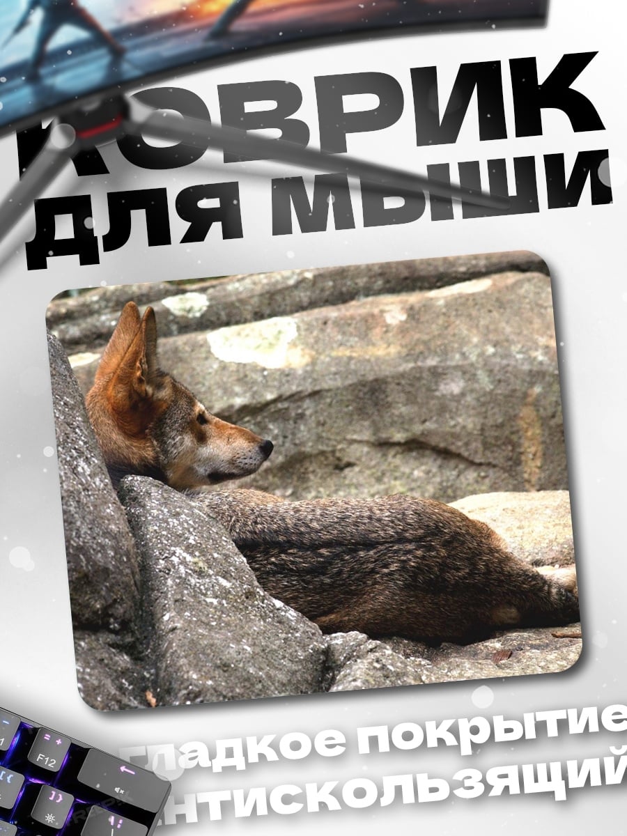 Коврик Волк на камнях