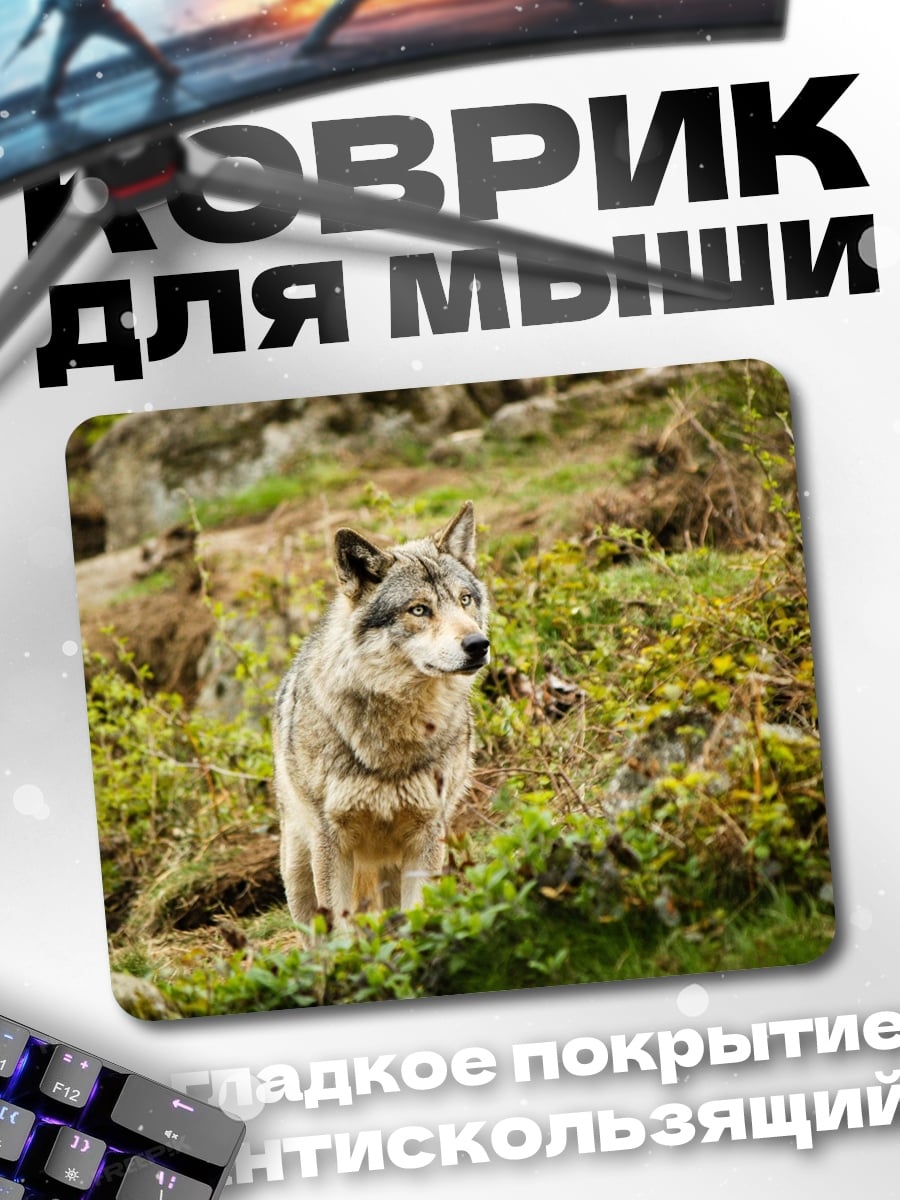 Коврик серый волк в лесу