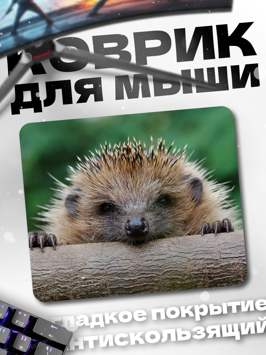 Коврик Ёжик на ветке
