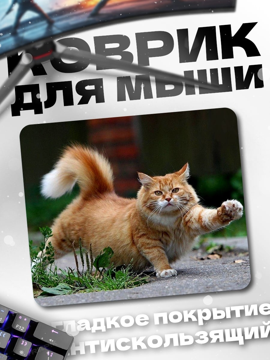 Коврик рыжий кот играет