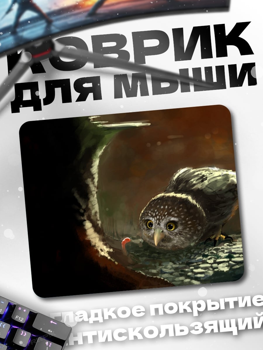 Коврик Сова и червяк