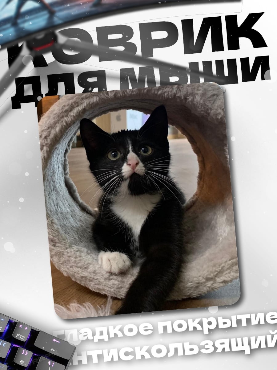 Коврик Черный кот в круге