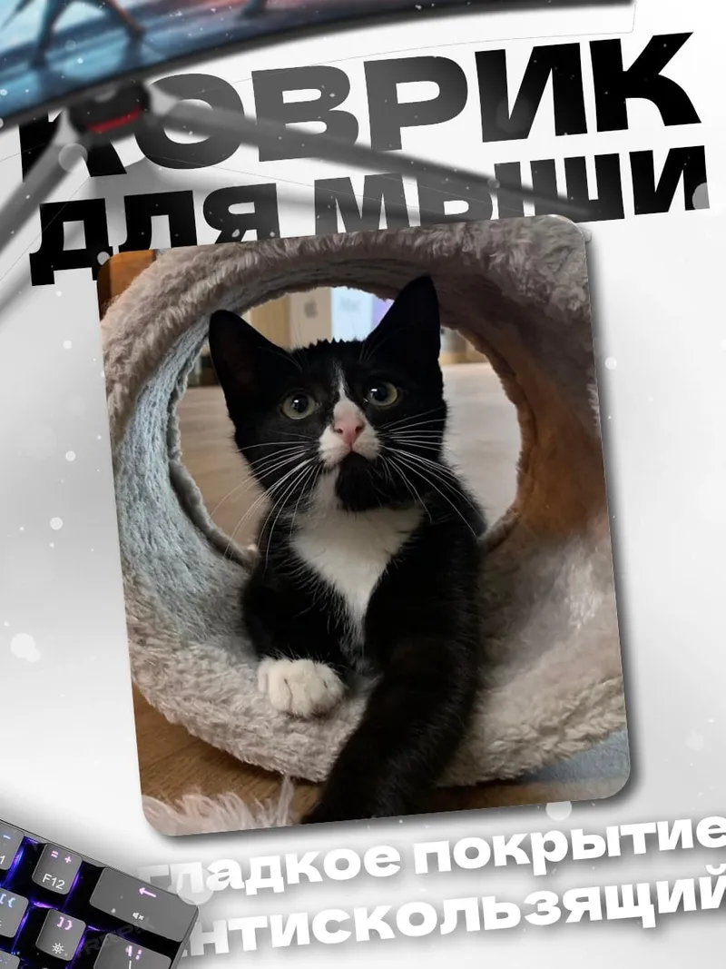 Коврик Черный кот в круге