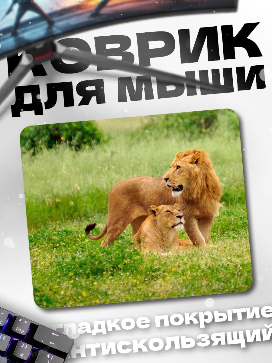 Коврик Львы в саванне
