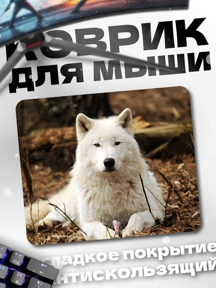 Коврик Белый волк в лесу