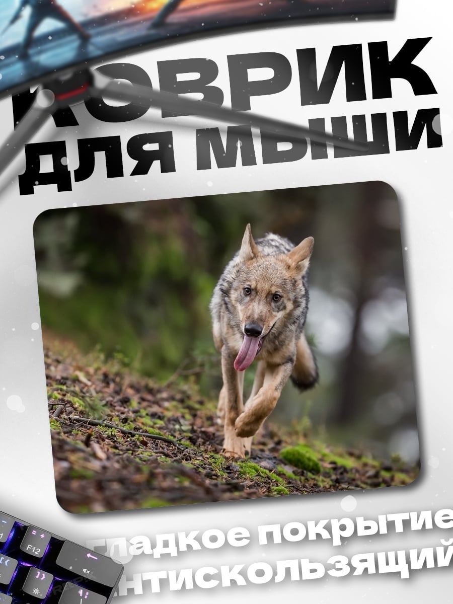 Коврик Бегущий волк в лесу