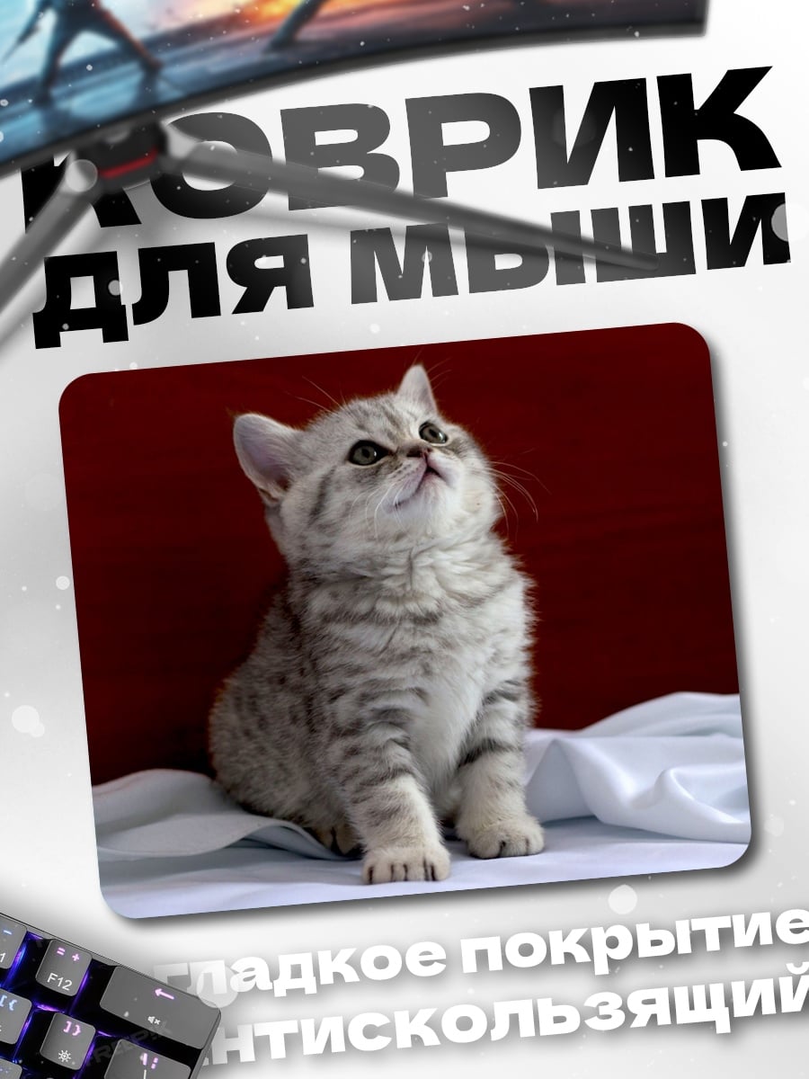 Коврик Пушистый котенок