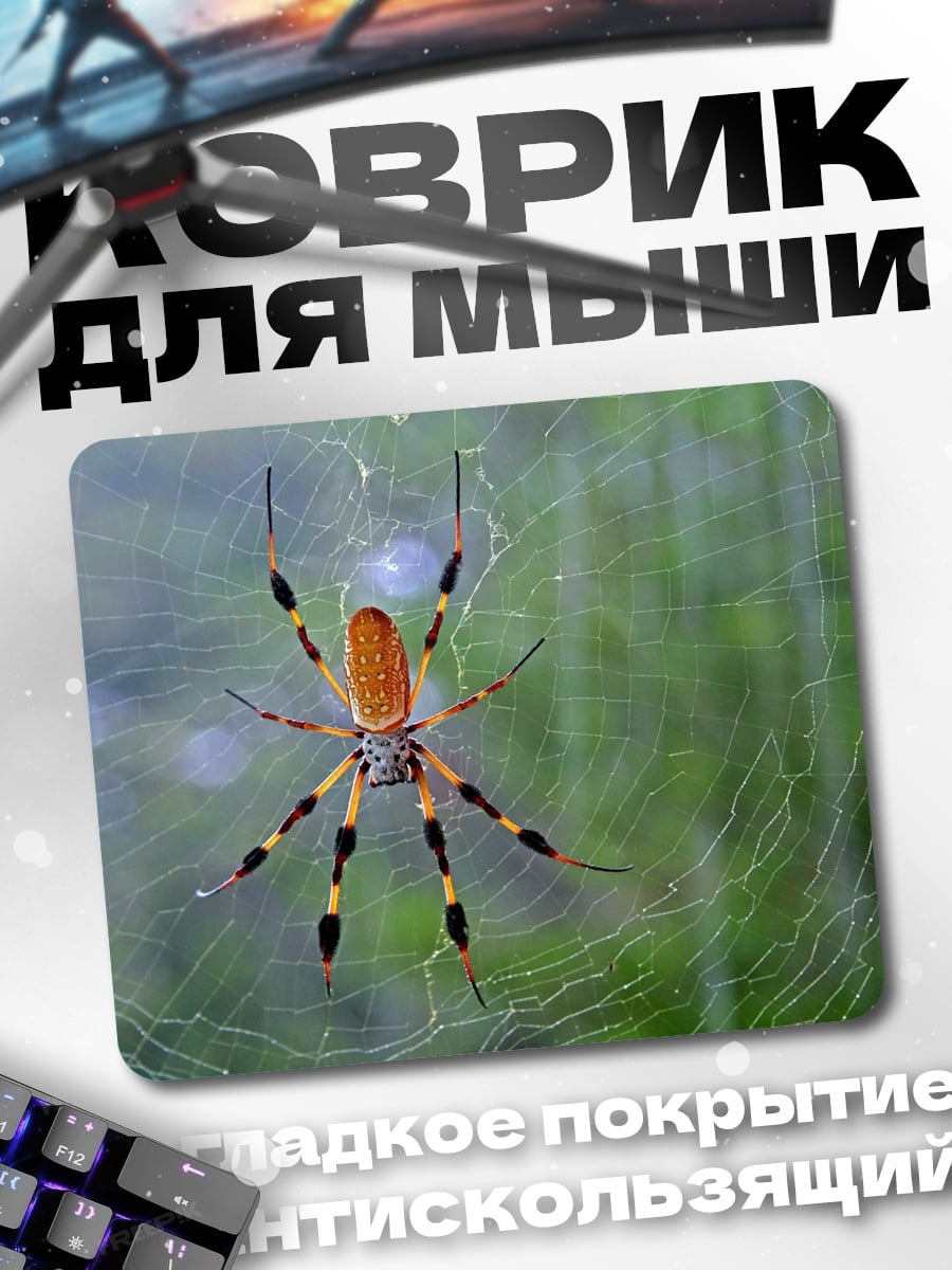 Коврик Паук на паутине