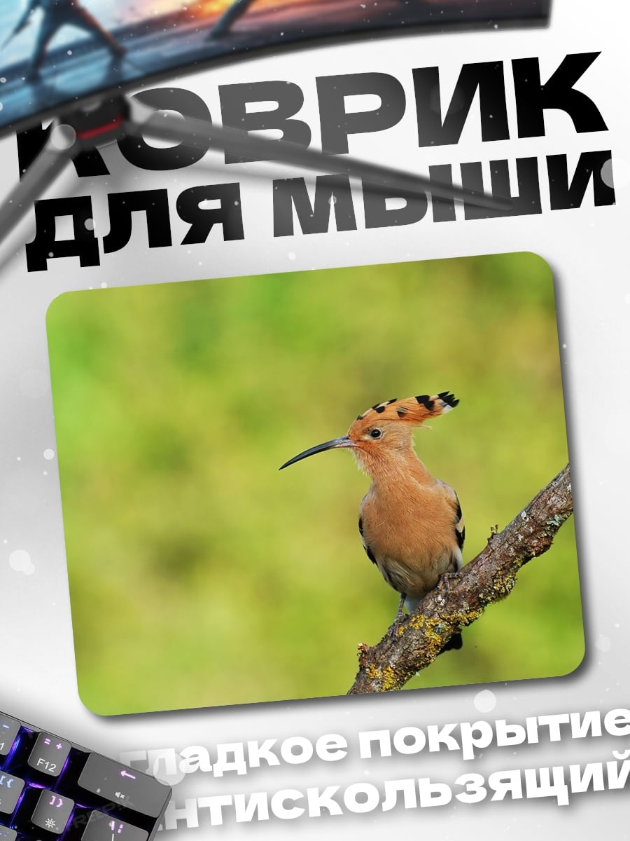 Коврик Птица удод