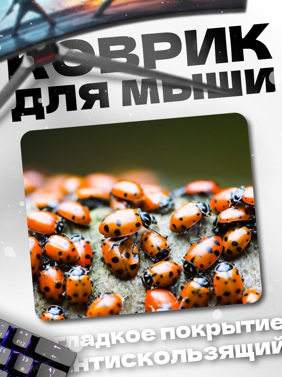 Коврик Много божьих коровок
