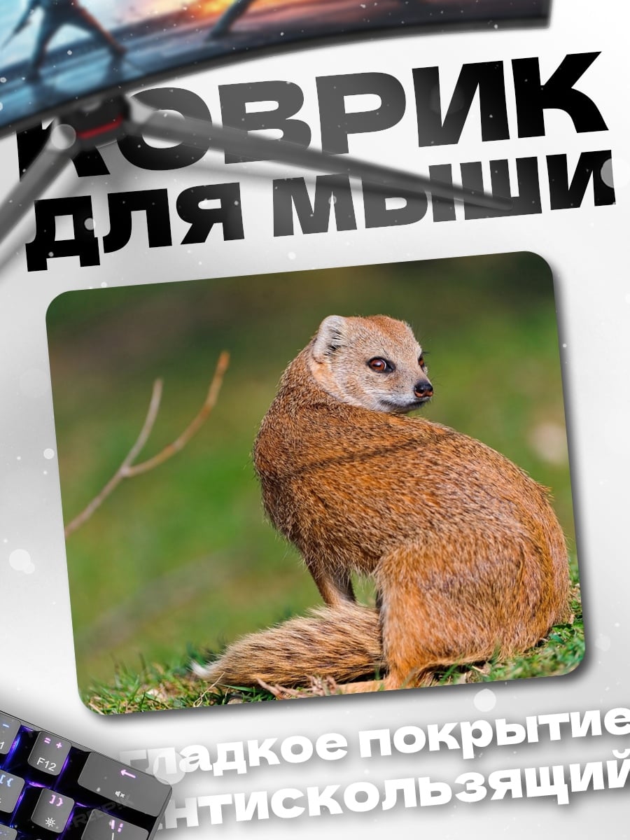 Коврик Рыжий мангуст сидит