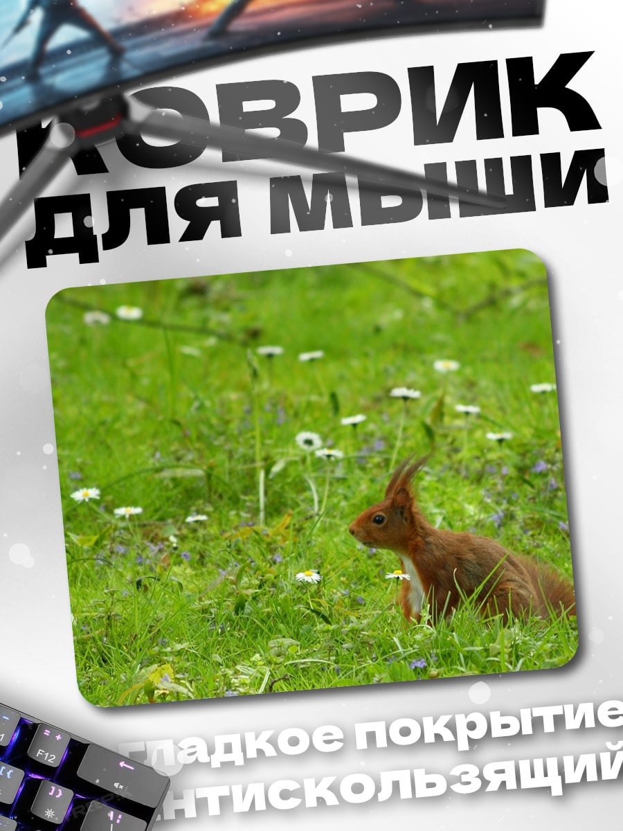 Коврик Белка на лугу