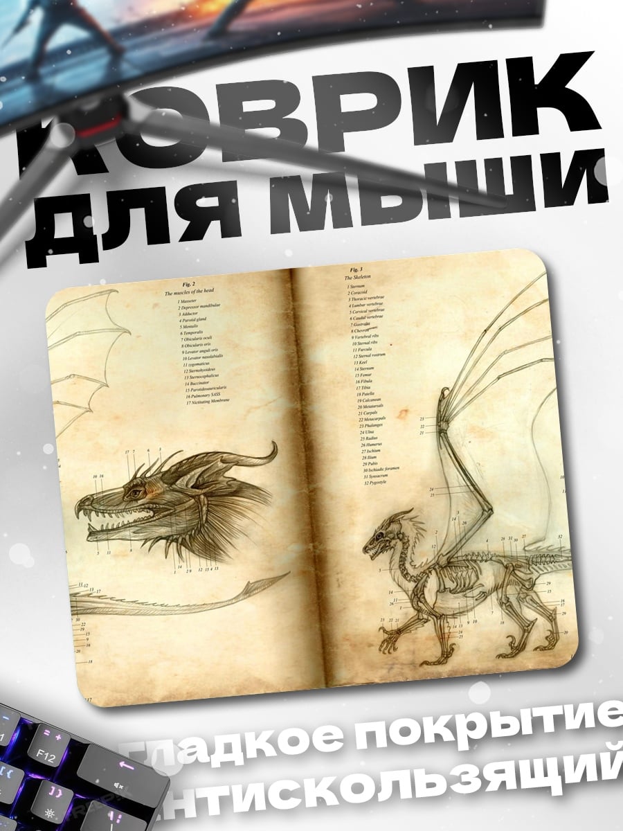 Коврик Анатомия дракона