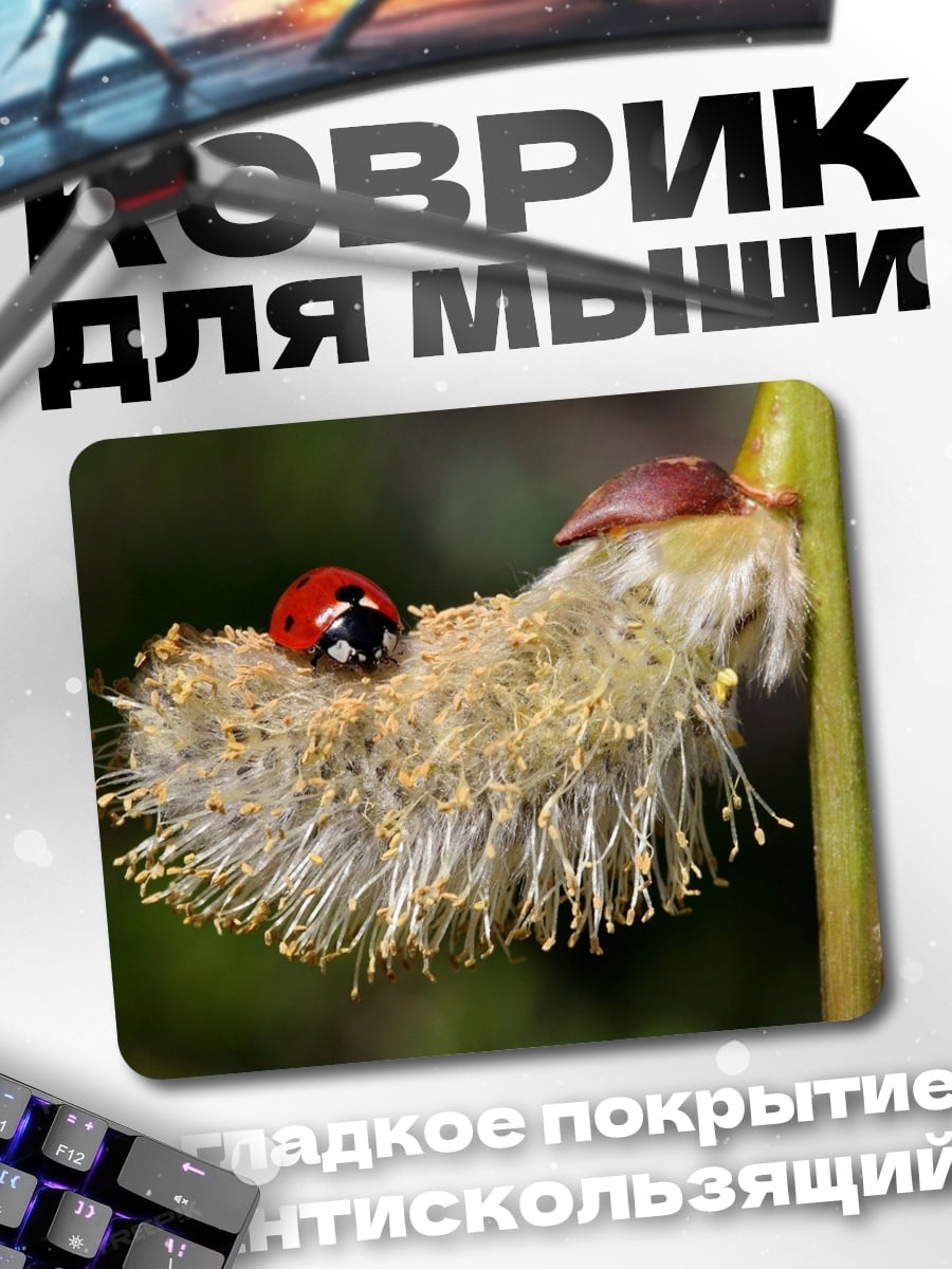 Коврик Божья коровка на цветке