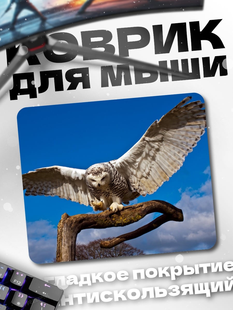 Коврик Белая сова в полёте