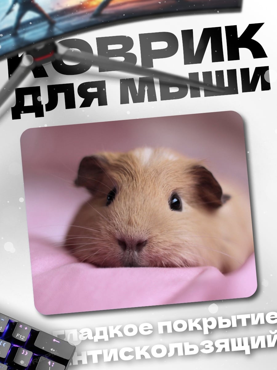 Коврик Морская свинка