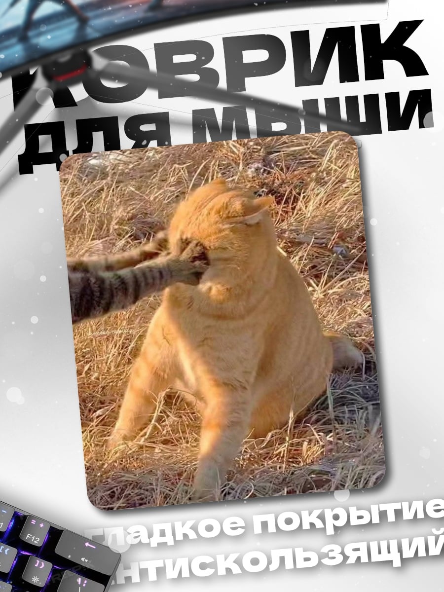 Коврик Кот играет с котом