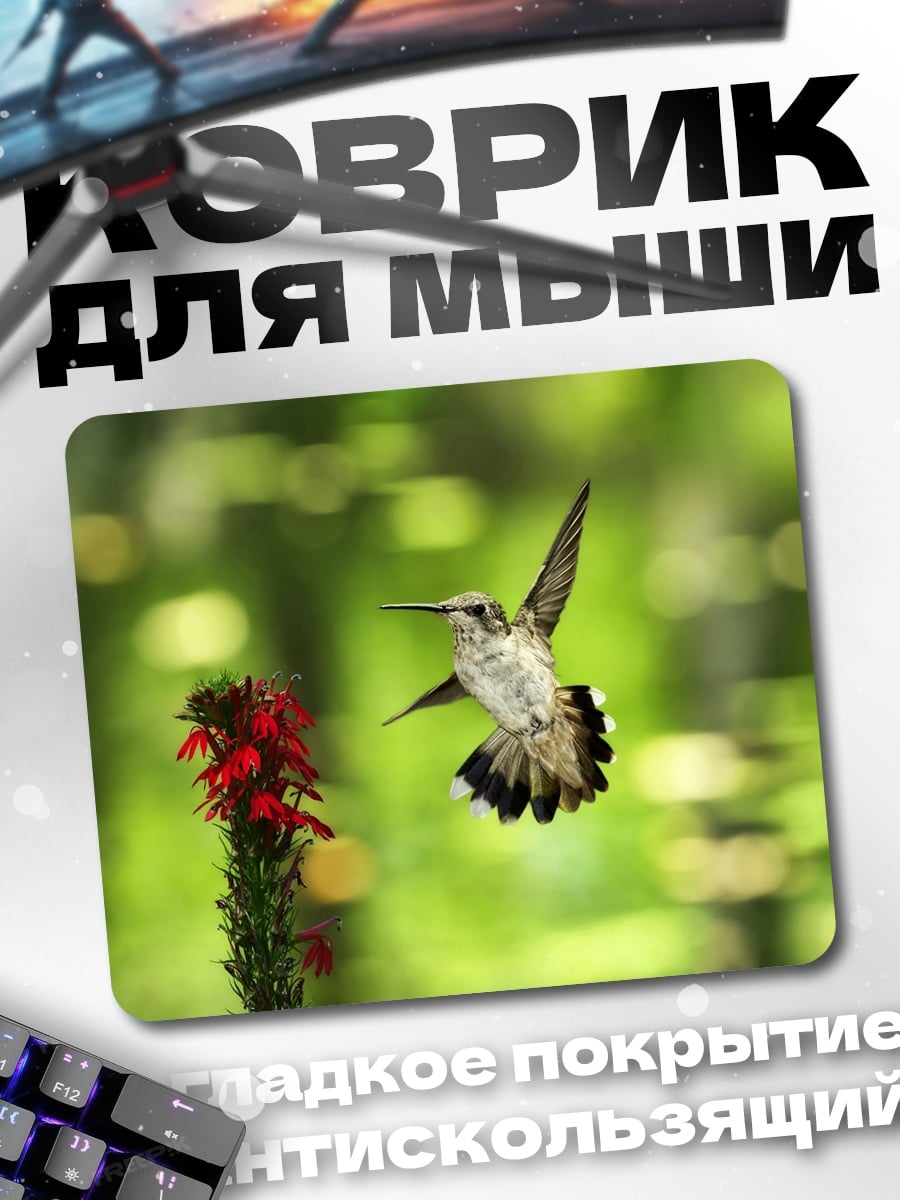 Коврик Колибри у цветка