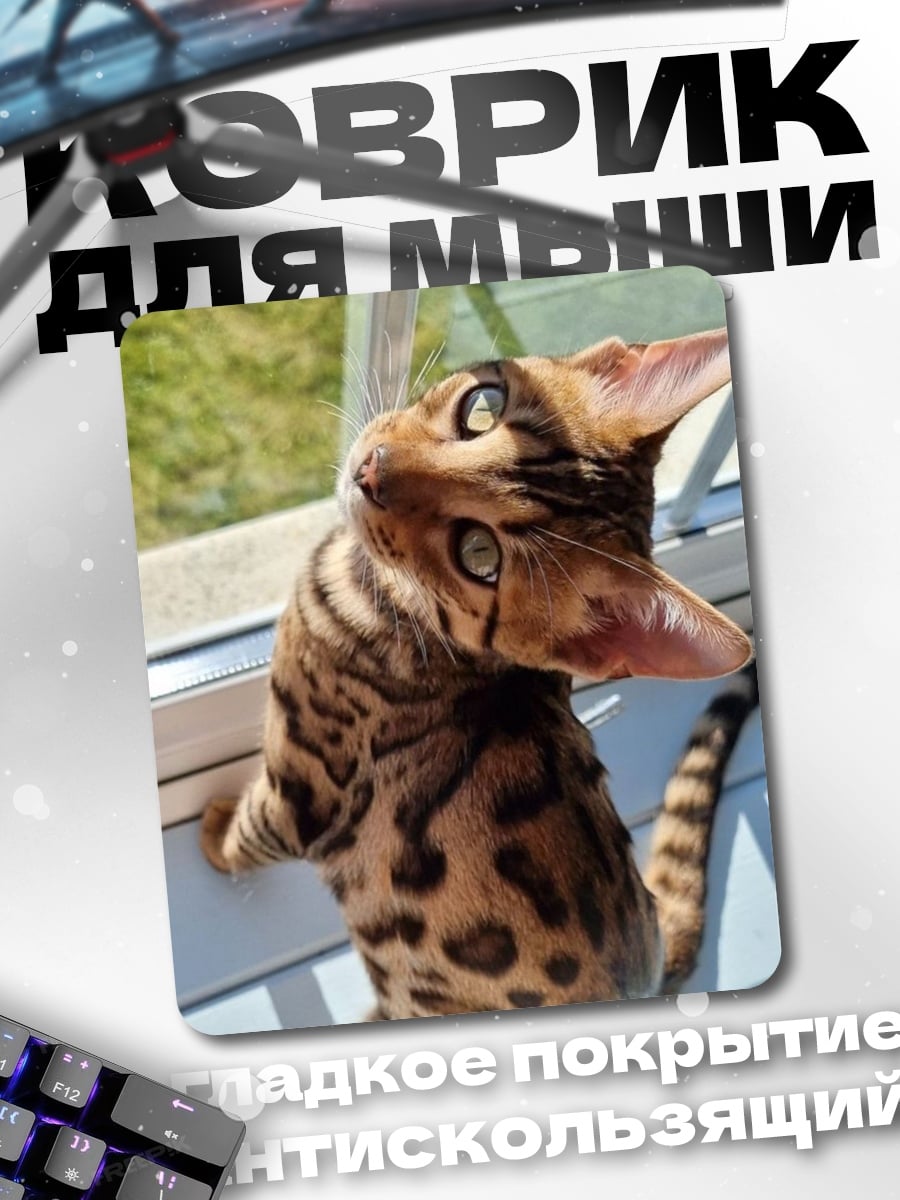 Коврик Бенгальский котенок