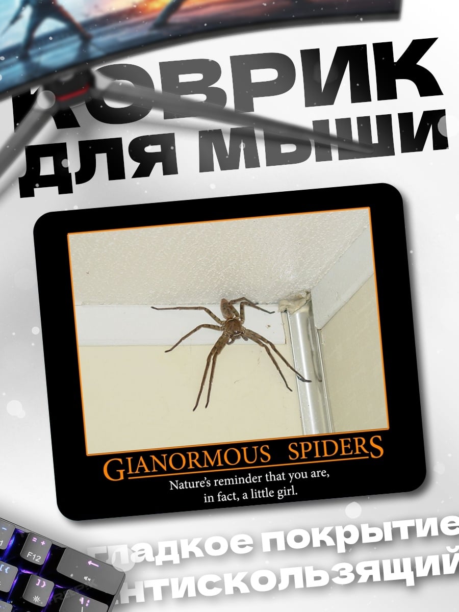 Коврик Гигантский паук