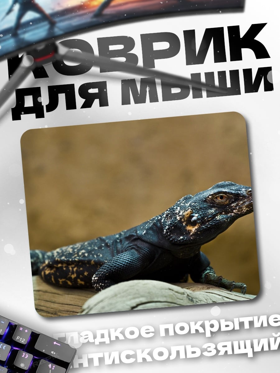 Коврик черная ящерица