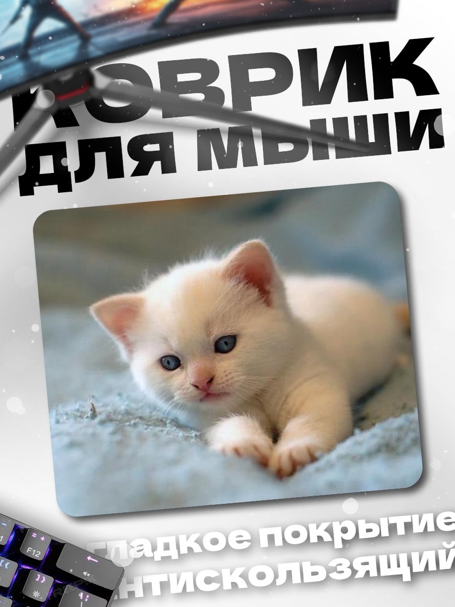 Коврик Белый котенок на пледе