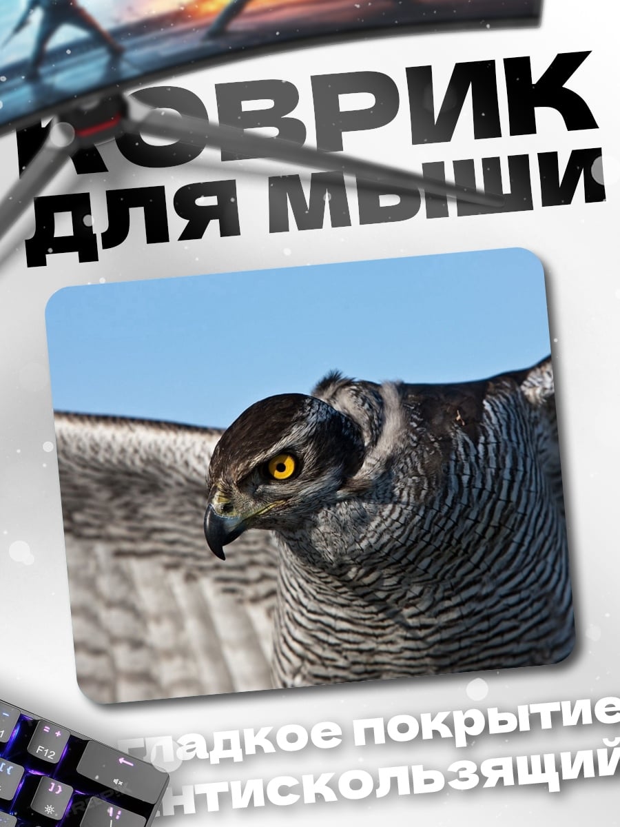 Коврик Ястреб в полете