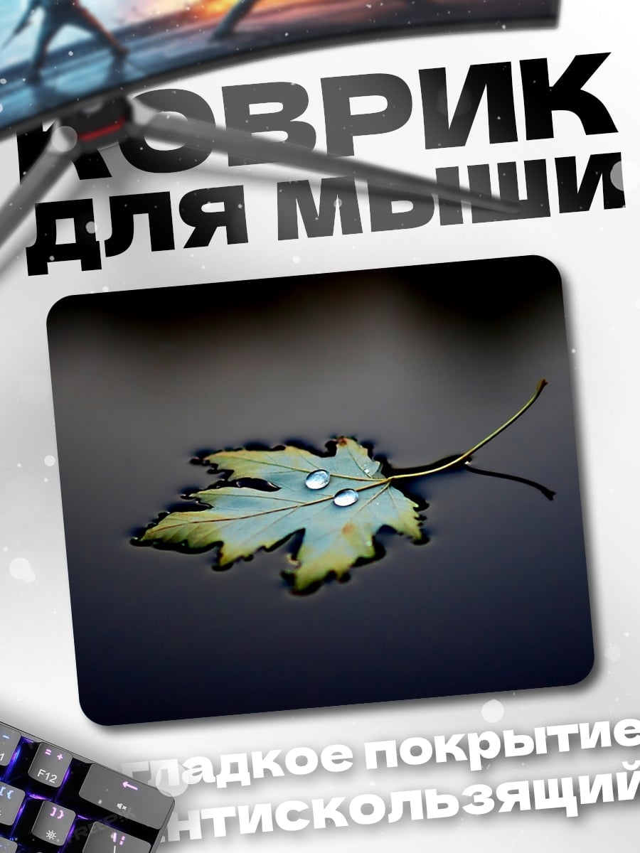 Коврик осенний лист воде