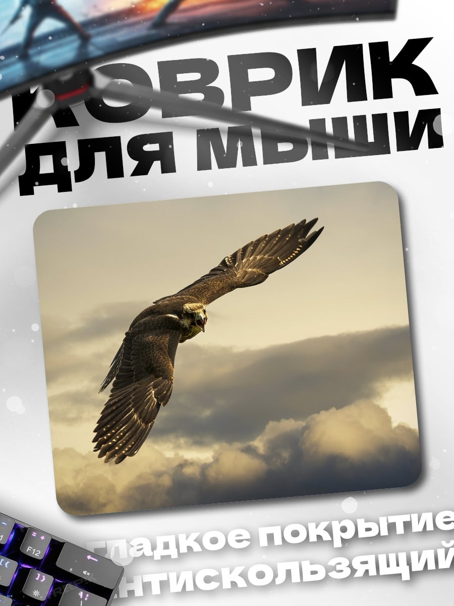 Коврик Орел в полете