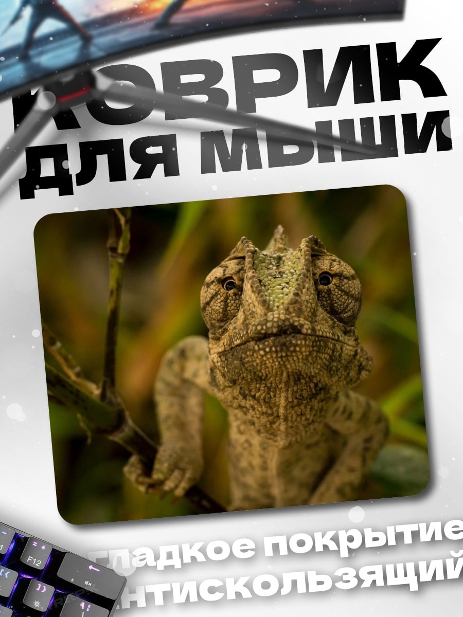 Коврик Хамелеон на ветке
