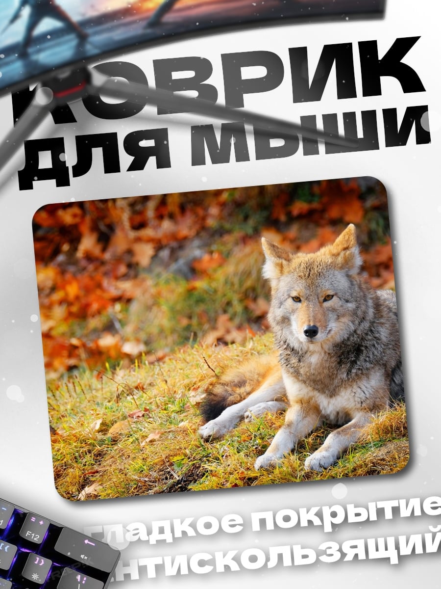 Коврик койот осенью