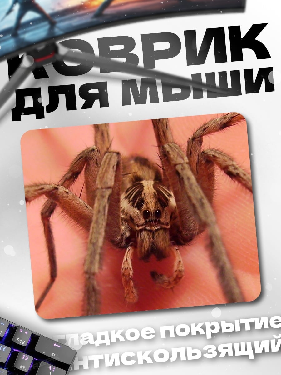 Коврик крупный план паука