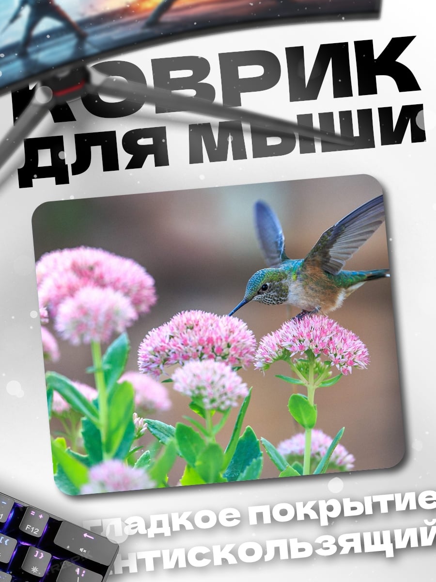 Коврик Колибри и цветы