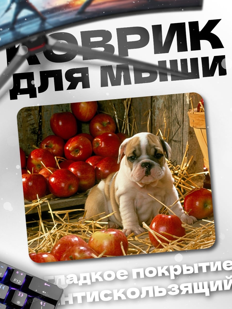 Коврик Щенок бульдога с яблоками