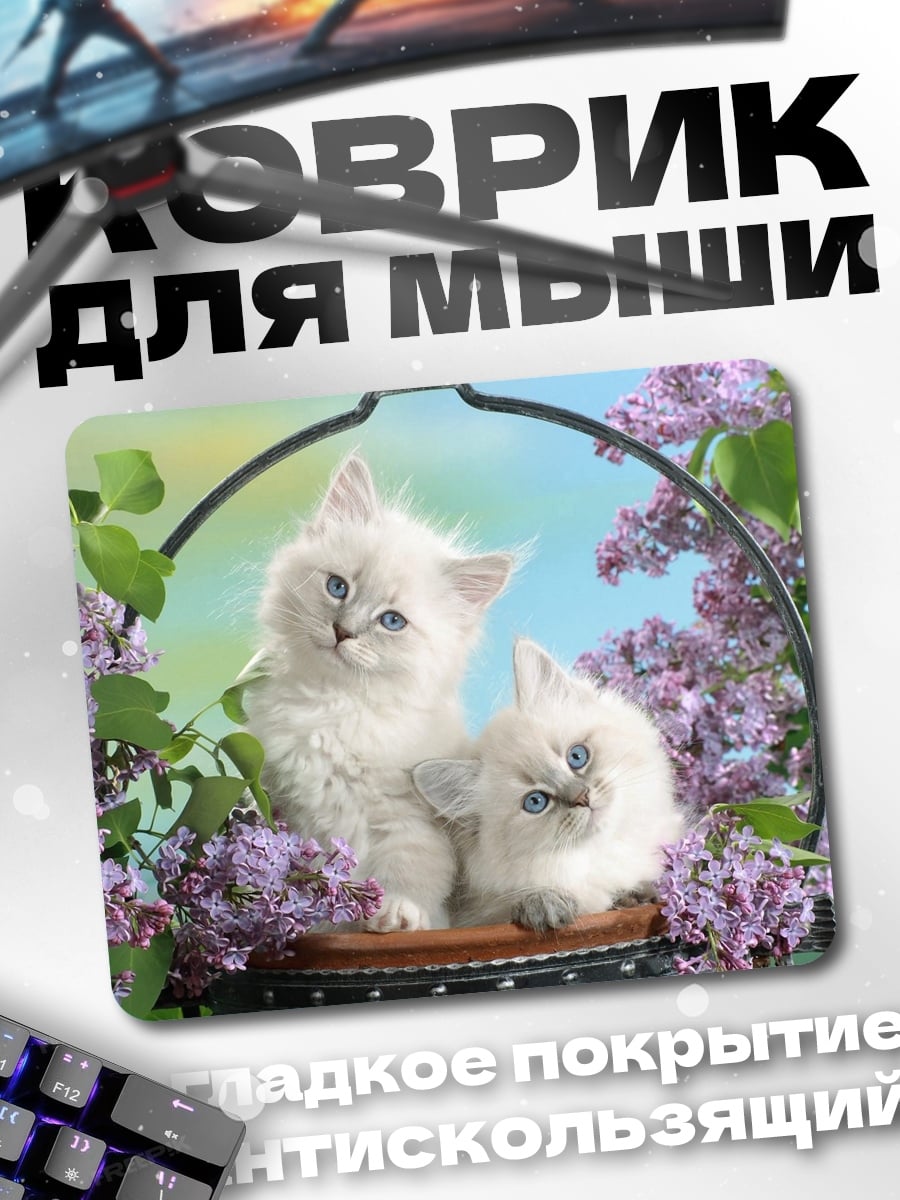 Коврик два пушистых котенка