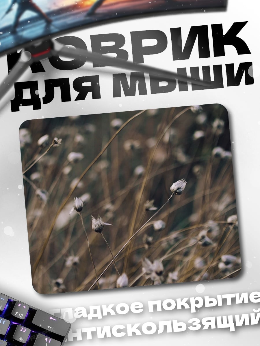 Коврик сухие растения