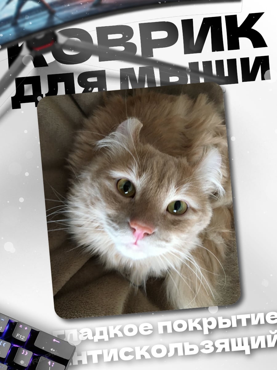 Коврик Рыжий кот смотрит вверх