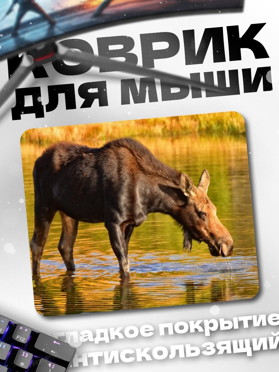 Коврик Лось у водоема
