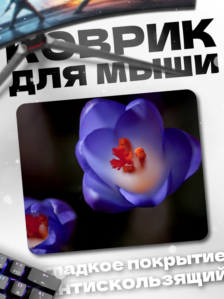 Коврик цветущий крокус