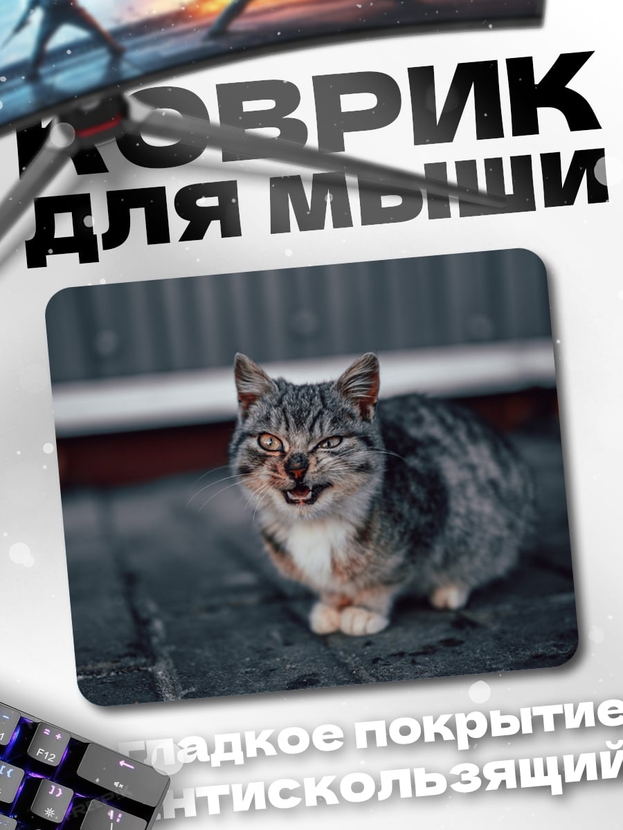 Коврик Сердитый кот
