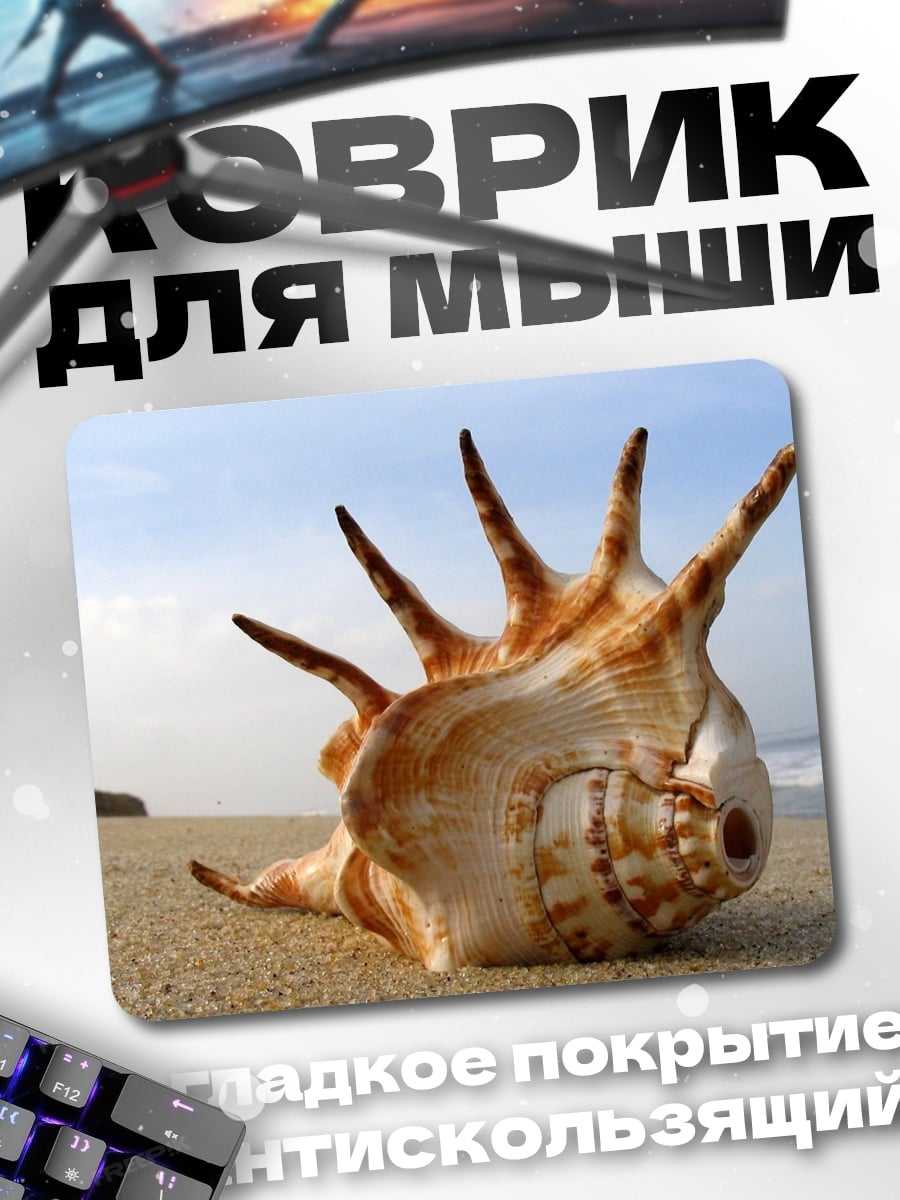 Коврик Морская раковина на пляже