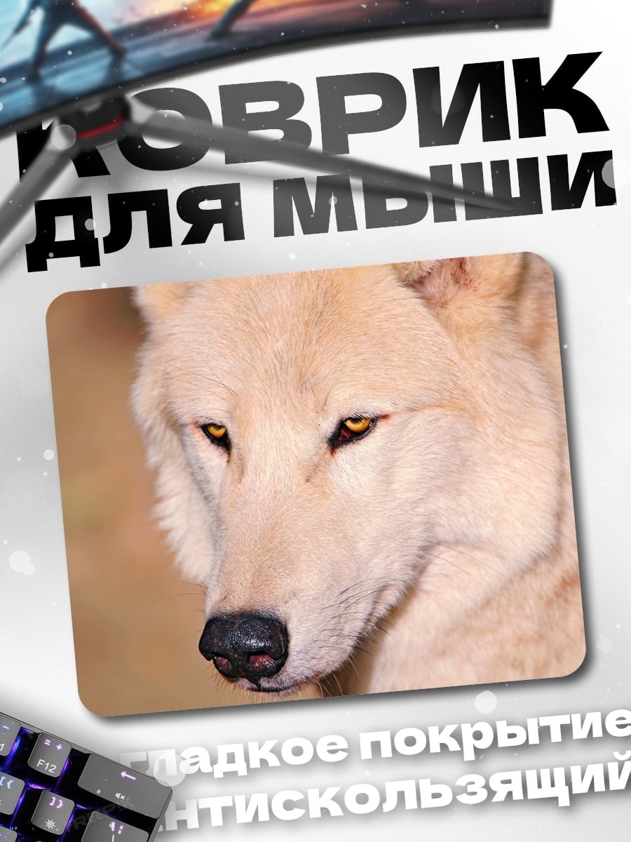 Коврик белый волк взгляд